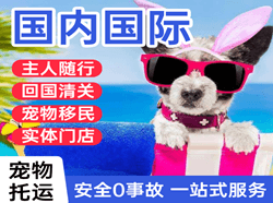 龙湾机场货运国际宠物托运 【国